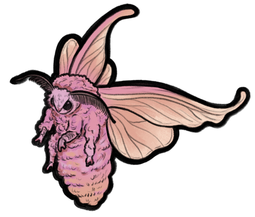 Cocoon