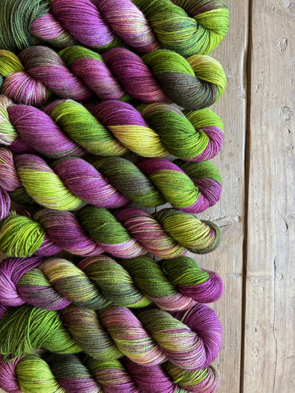 Curious bramble patch