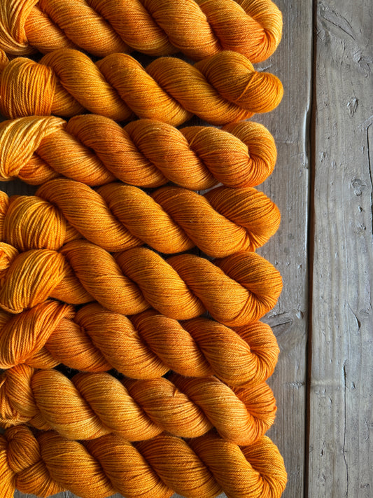 Pumpkin